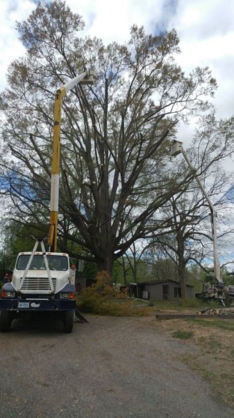 Public-listing photograph 1: tree-work equipment, crew or fallen-tree scene; ownership unverified