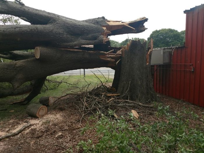Public-listing photograph 10: tree-work equipment, crew or fallen-tree scene; ownership unverified
