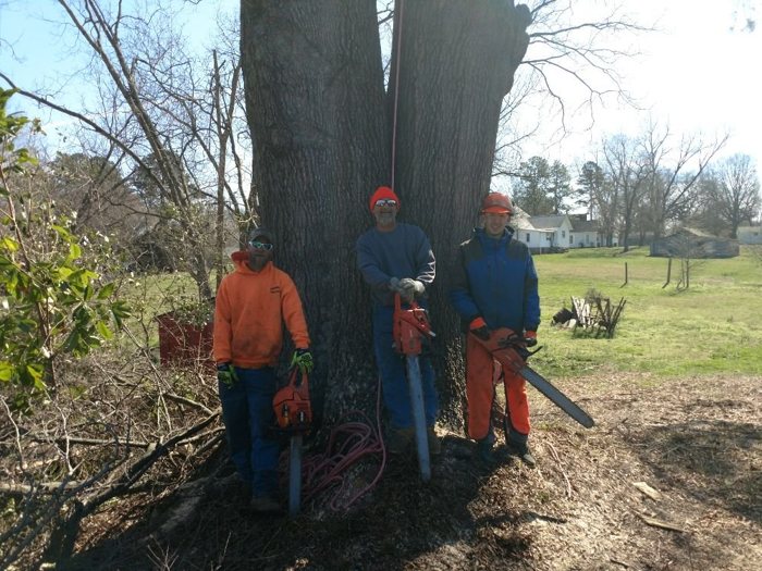 Public-listing photograph 2: tree-work equipment, crew or fallen-tree scene; ownership unverified