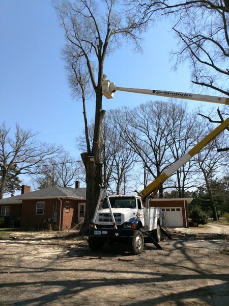 Public-listing photograph 4: tree-work equipment, crew or fallen-tree scene; ownership unverified
