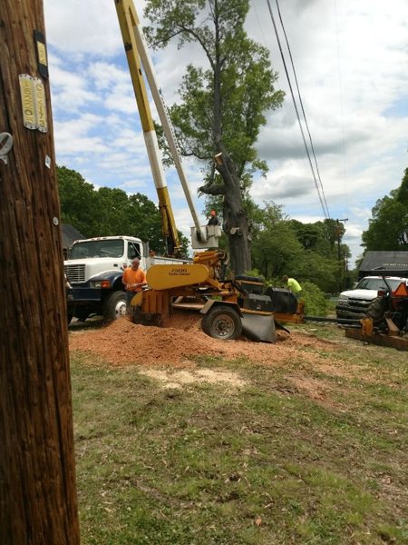 Public-listing photograph 7: tree-work equipment, crew or fallen-tree scene; ownership unverified