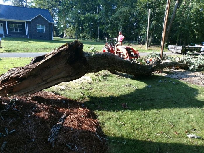 Public-listing photograph 9: tree-work equipment, crew or fallen-tree scene; ownership unverified